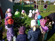 Sklízíme úrodu na školní zahrádce